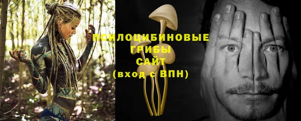 молекула духа Алзамай